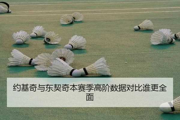 约基奇与东契奇本赛季高阶数据对比谁更全面（XK sports）